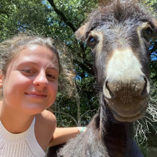 Profile image for pet sitter Chiara