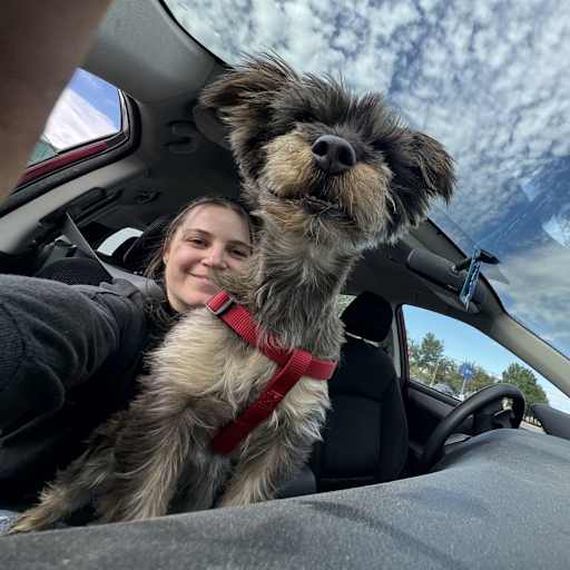 Profile image for pet sitter Melissa