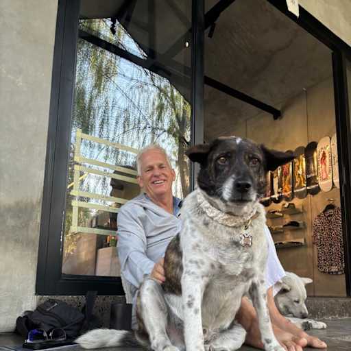 Profile image for pet sitter Andrew