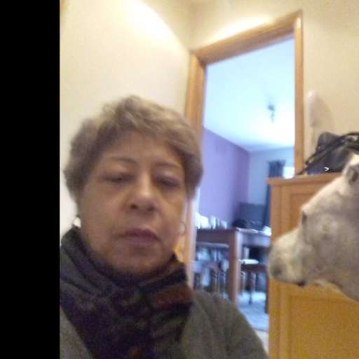 Profile image for pet sitter Vivien