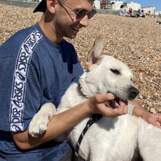 Profile image for pet sitter Lyle