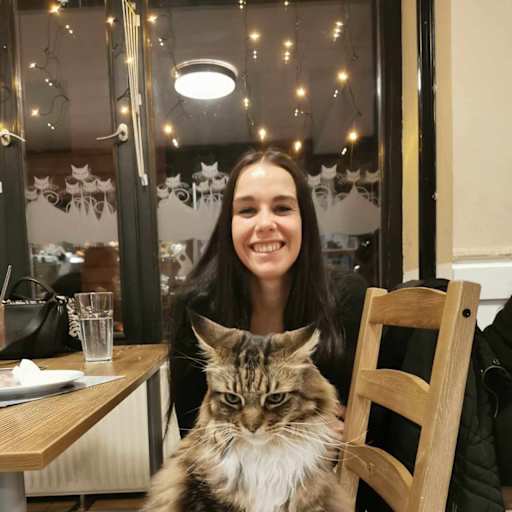 Profile image for pet sitter Michl