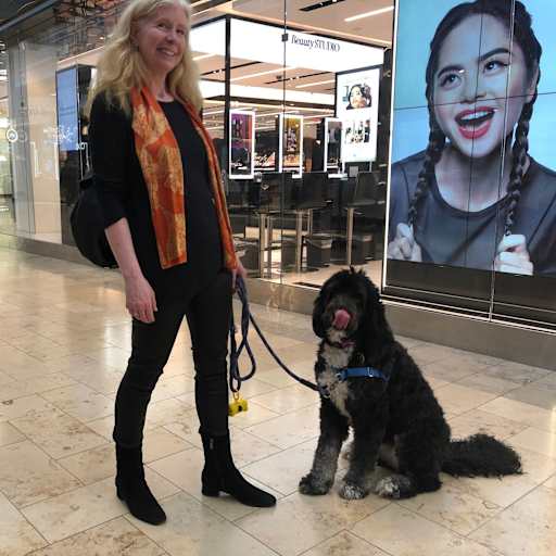 Profile image for pet sitters Brian & Karen & Karen