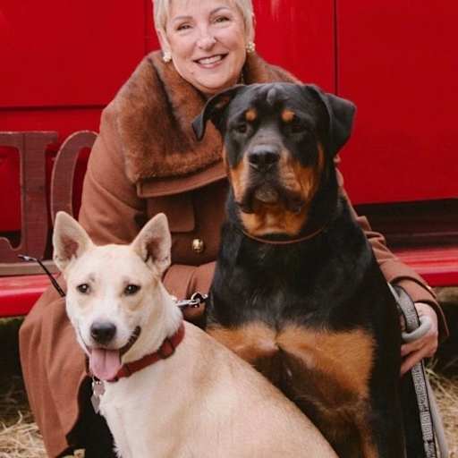 Profile image for pet sitter Theodora