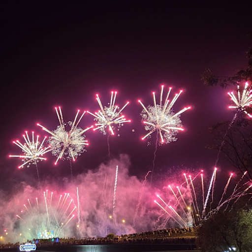 Profile image for pet sitters Kai & Alexandra