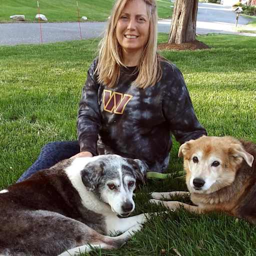 Profile image for pet sitter Karen