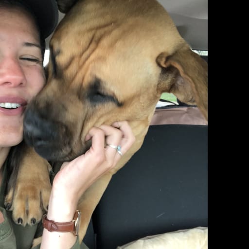 Profile image for pet sitter Kas