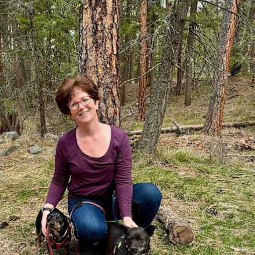 Profile image for pet sitter Jodi