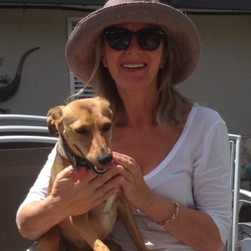 Profile image for pet sitter Barbara