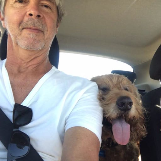 Profile image for pet sitters Ellie & Doyle