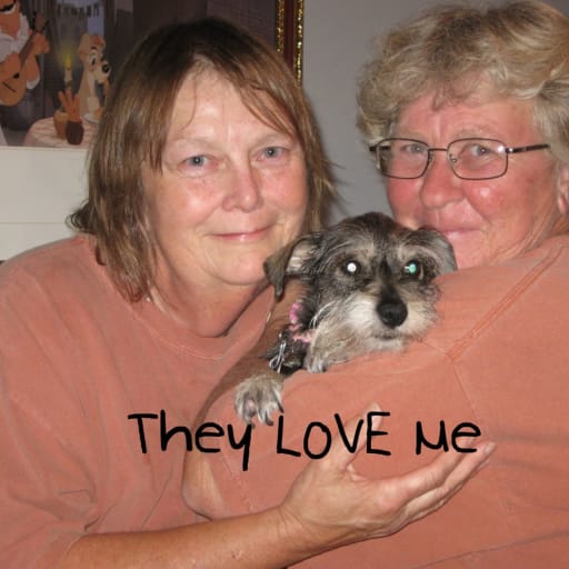 Profile image for pet sitters Judy & Kandy