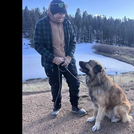 Profile image for pet sitter John