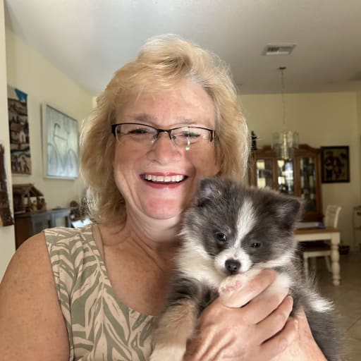 Profile image for pet sitter Michele