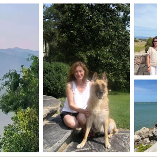 Profile image for pet sitter Michelle