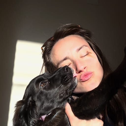 Profile image for pet sitters William & Ashley