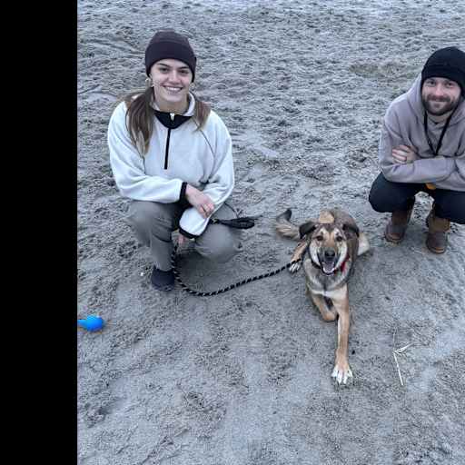 Profile image for pet sitters Jenna & Nicholas