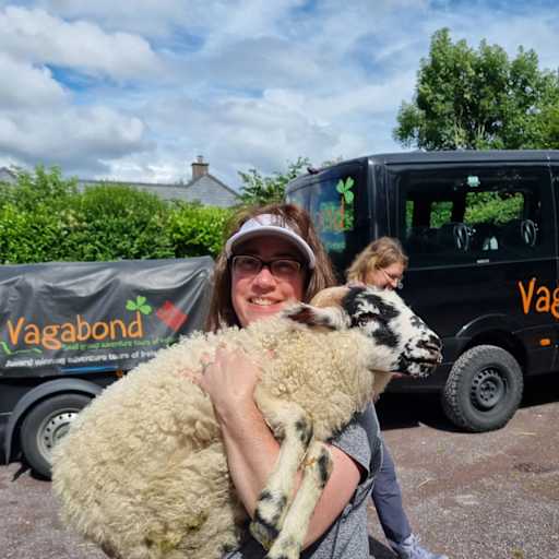 Profile image for pet sitter Traci