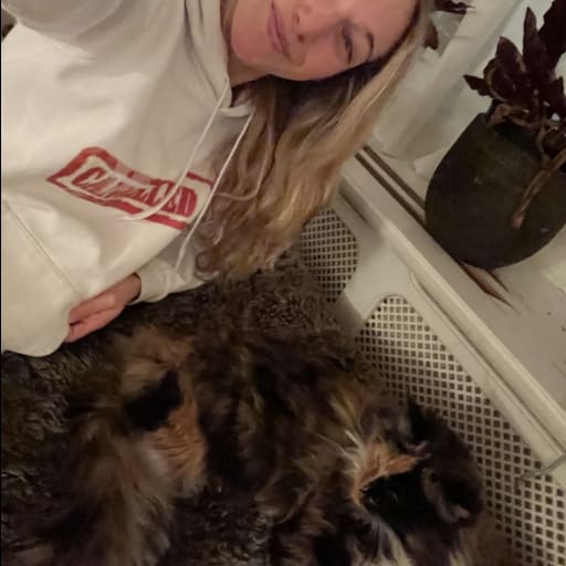 Profile image for pet sitter Indy