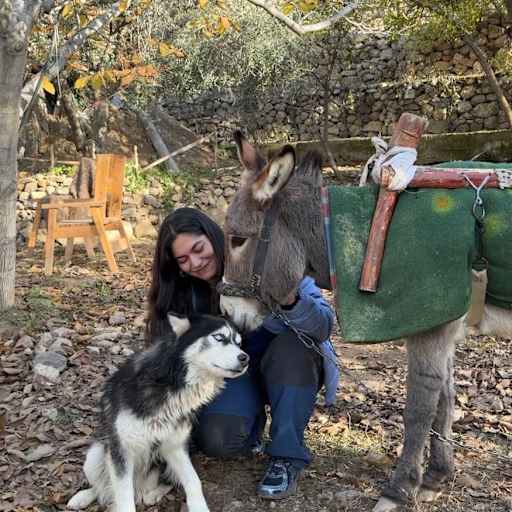 Profile image for pet sitter Srishti