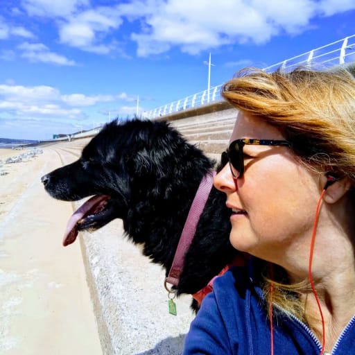 Profile image for pet sitter Lisa