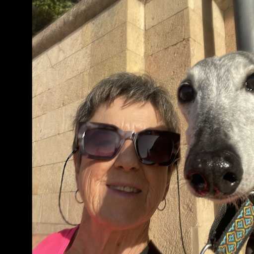 Profile image for pet sitter Diane