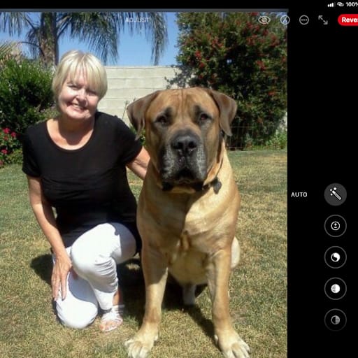 Profile image for pet sitter Harva