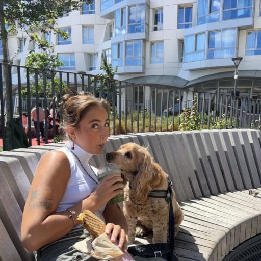 Profile image for pet sitter Debby