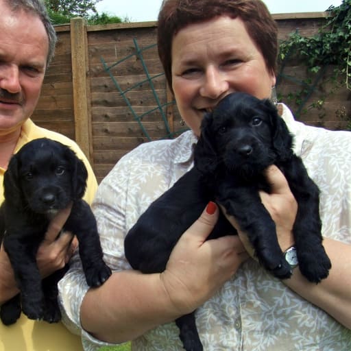 Profile image for pet sitters Andrew & Carole