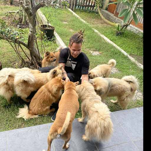 Profile image for pet sitter Daniel