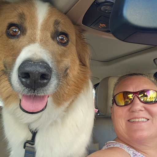 Profile image for pet sitter Cheryl