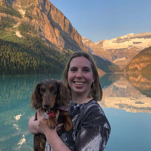 Profile image for pet sitter Payton