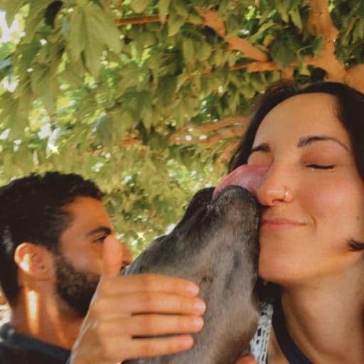 Profile image for pet sitters Sofia & Tiago