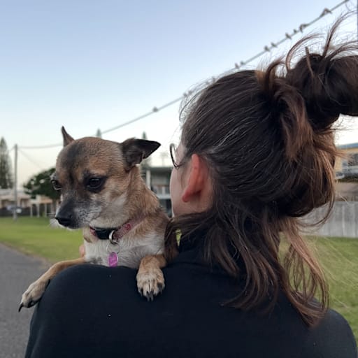 Profile image for pet sitter Caroline