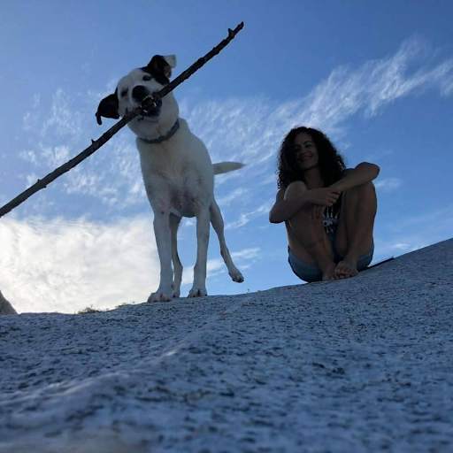 Profile image for pet sitter Shirley