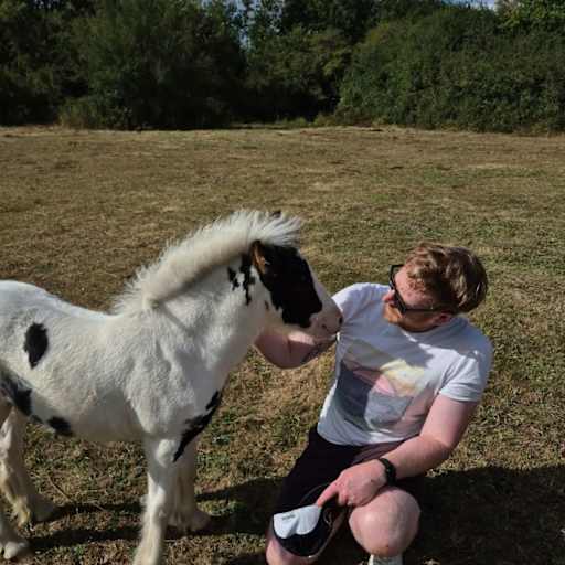 Profile image for pet sitter sam