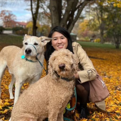 Profile image for pet sitters Yenling & Daniel