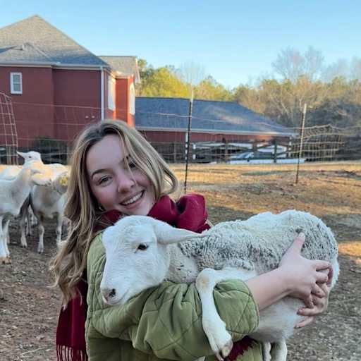 Profile image for pet sitter Isabella