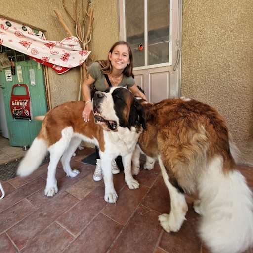 Profile image for pet sitters Pauline & Jocelyn