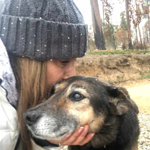 Profile image for pet sitter Sandra