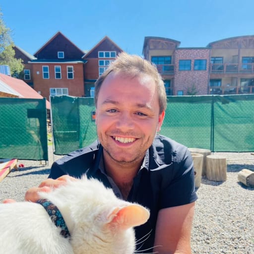Profile image for pet sitter Danylo
