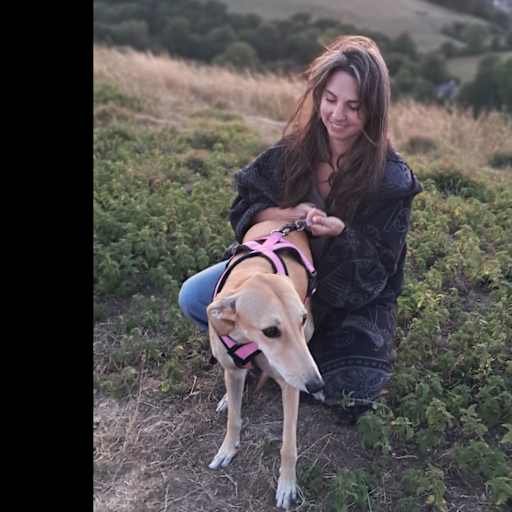 Profile image for pet sitter Rachel