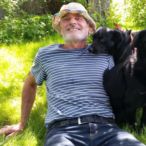 Profile image for pet sitter John