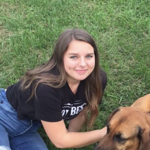 Profile image for pet sitter Angelina