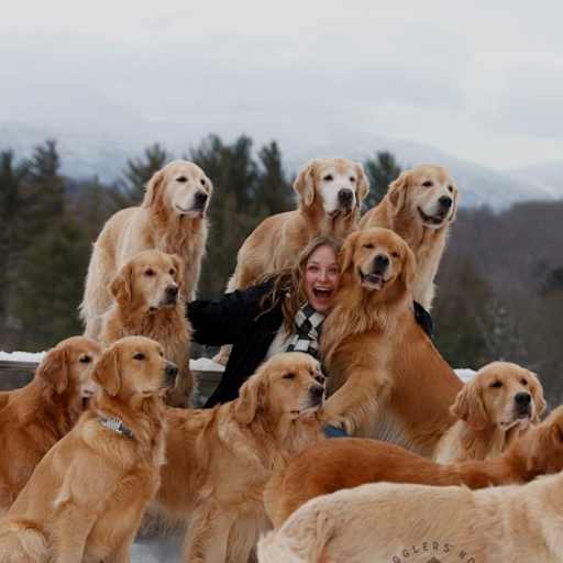 Profile image for pet sitter Juliet