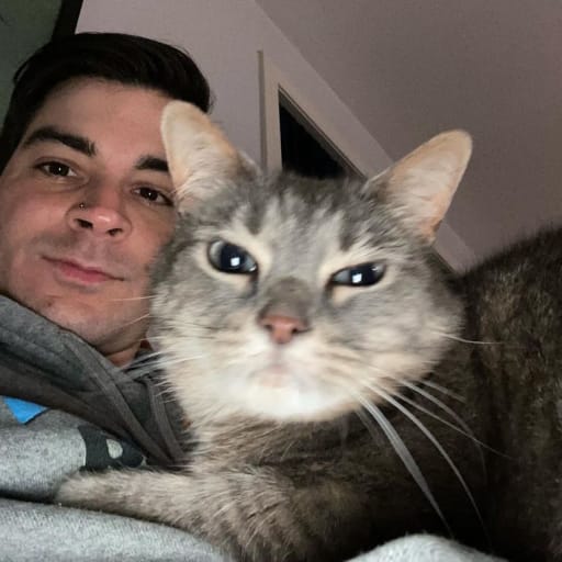 Profile image for pet sitter steven