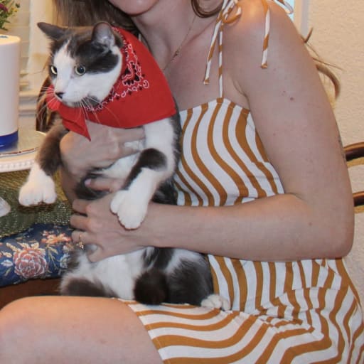 Profile image for pet sitter Anna