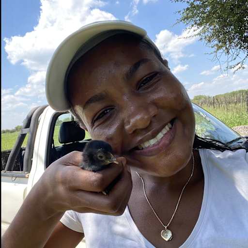 Profile image for pet sitter Dimpho