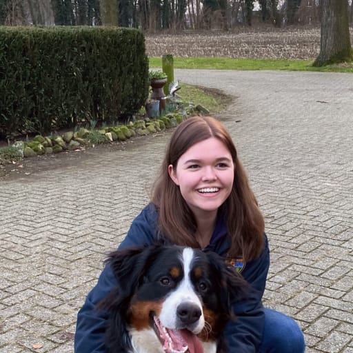 Profile image for pet sitters Lina & Til