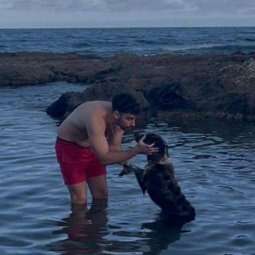 Profile image for pet sitters Miguel & Alicia