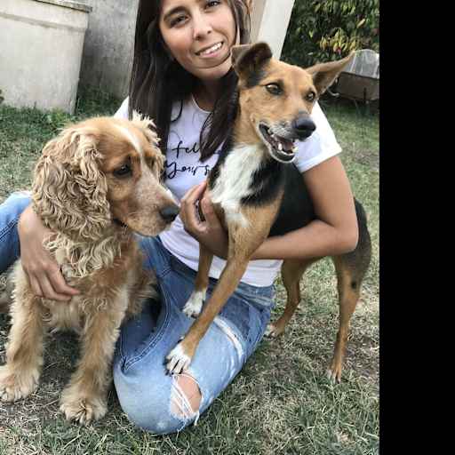 Profile image for pet sitter Daiana